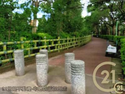 桃園平鎮農地-11