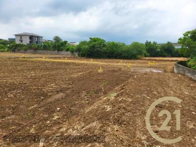 桃園平鎮農地-14