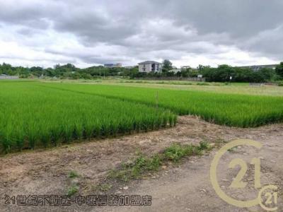 桃園平鎮農地-4