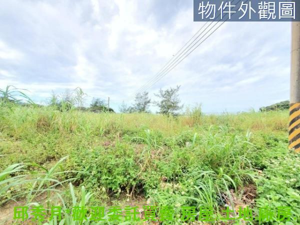 淡水農地-4