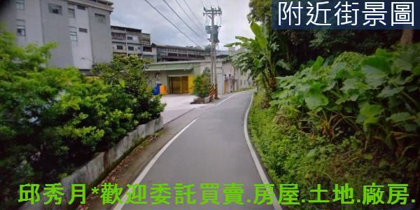 淡水林地-1