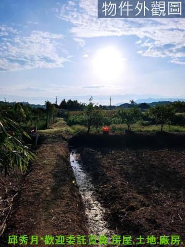 新北農地-4