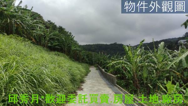 三芝農地-2