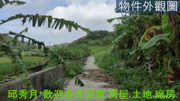三芝農地-3
