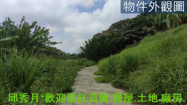 三芝農地-4