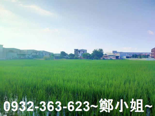 八德農地-4