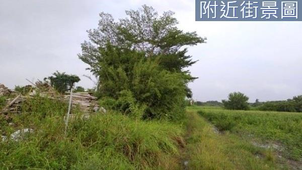 台南農地-3