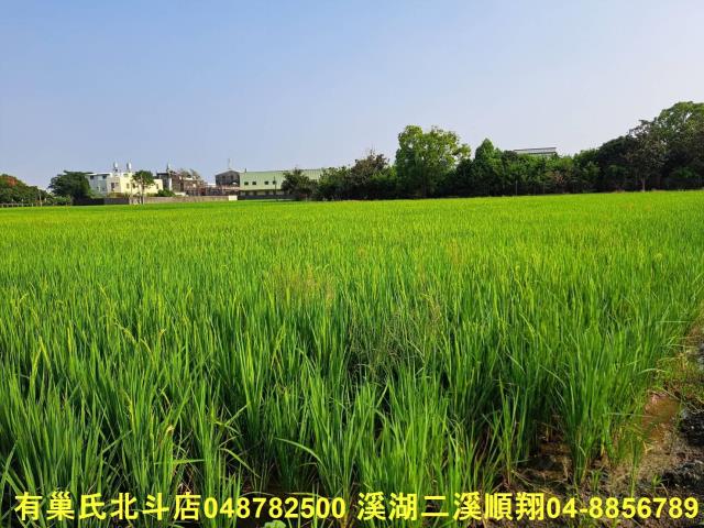 彰化埤頭農地-5