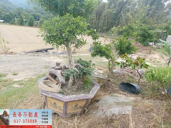 苗栗銅鑼農地-2
