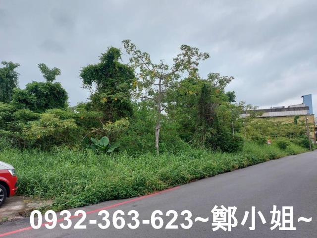 桃園八德農地-6