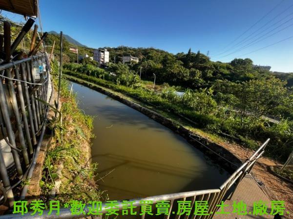 淡水農地-11