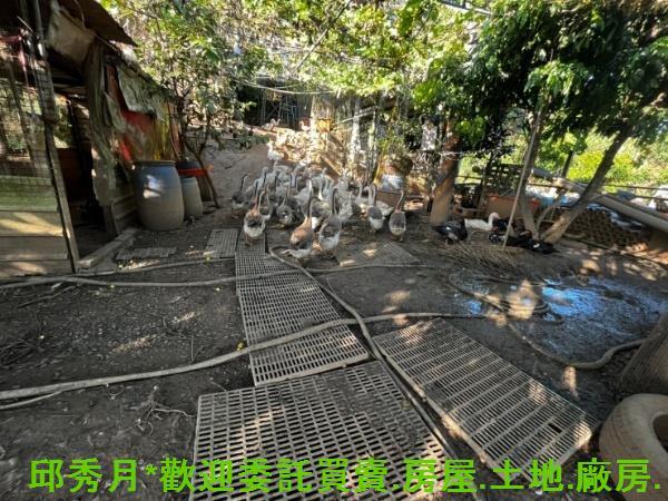 淡水農地-6
