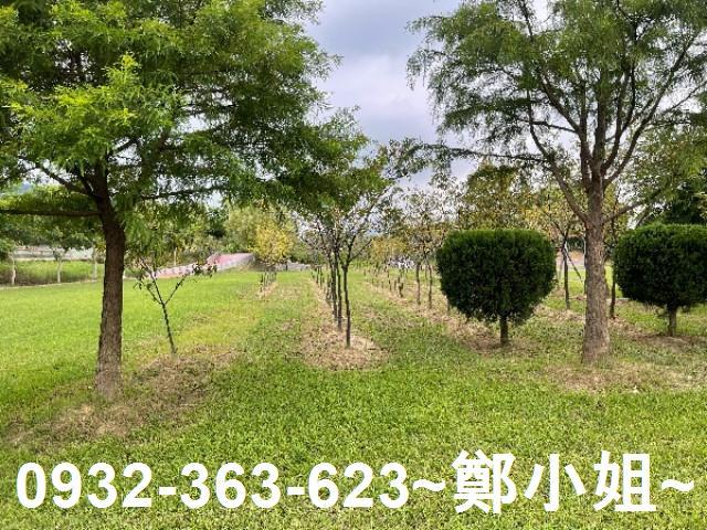 大溪農地-10