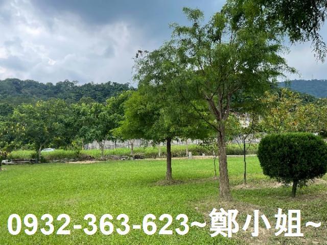 大溪農地-11