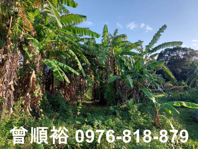 橫山農地-10