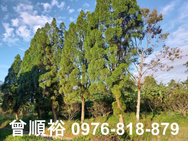 橫山農地-2