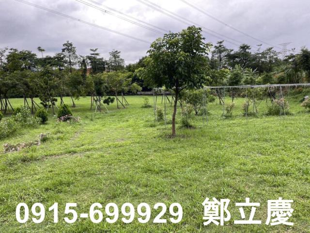 桃園龍潭農地-1