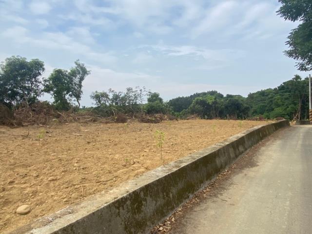 台南大內農地-1