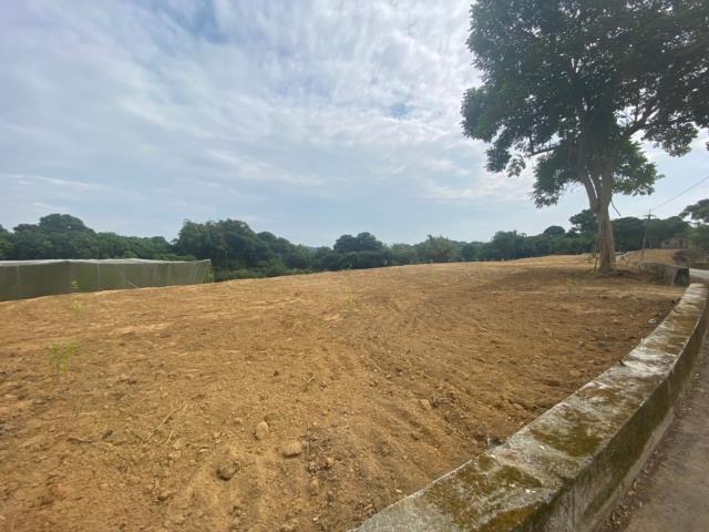 台南大內農地-9