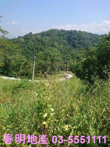 新竹寶山農地-11