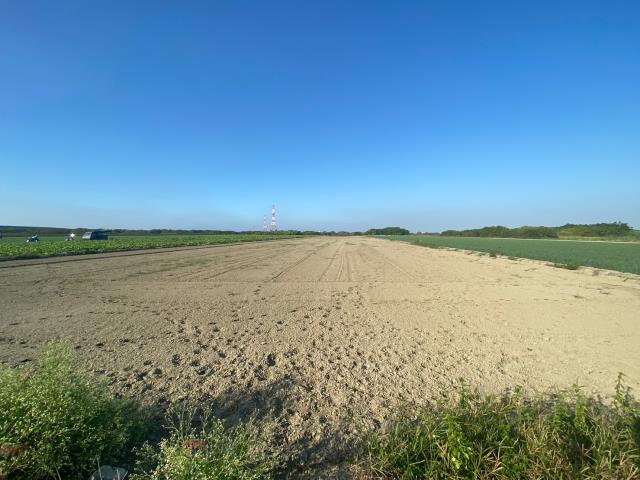 台南安南農地-5