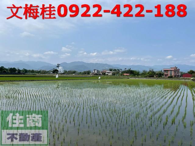 宜蘭三星農地-6