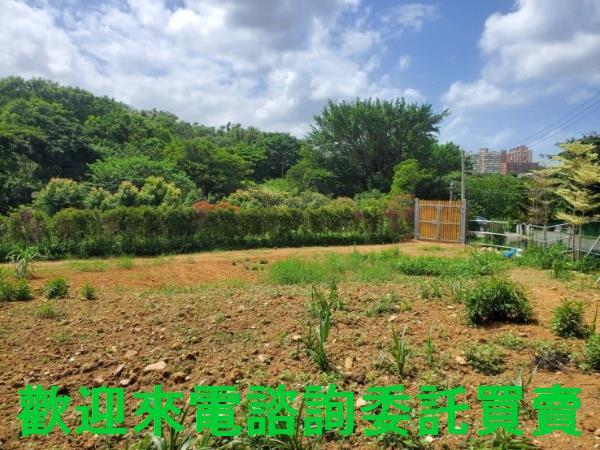 新北三芝農地-12