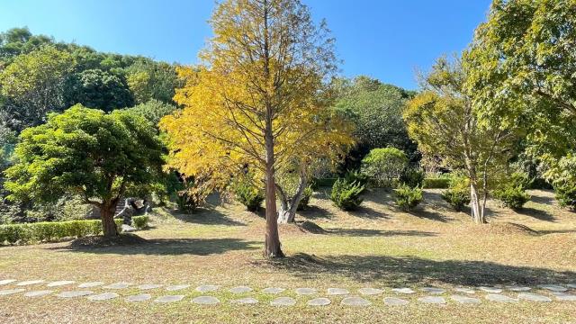 頭份農地-14