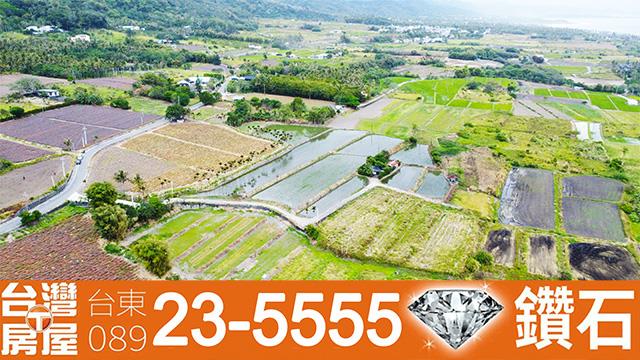 台東農地-11