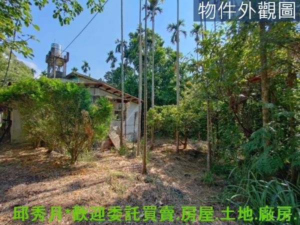 新北石門農地-10