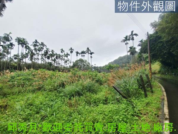 新北石門農地-4