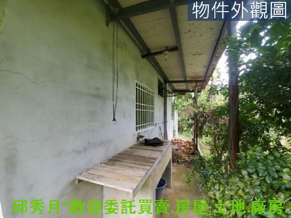 新北石門農地-7