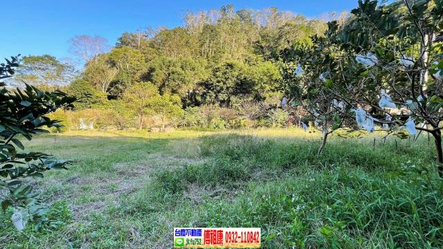 新竹北埔農地-13