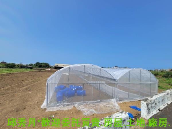 淡水農地-3