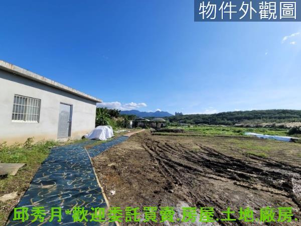 淡水農地-5