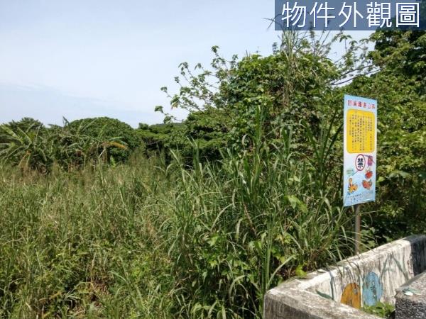 三芝農地-5