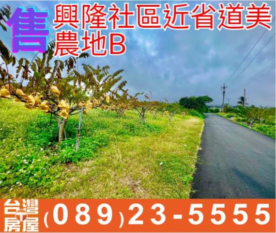 興隆社區近省道美農地