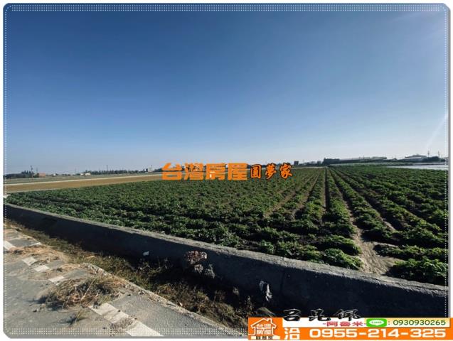 水林農地-5