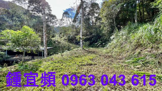 尖石農地-5