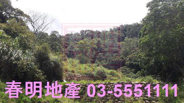 新竹農地-1