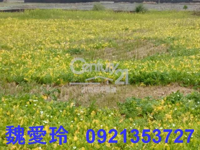 彰化農地-3