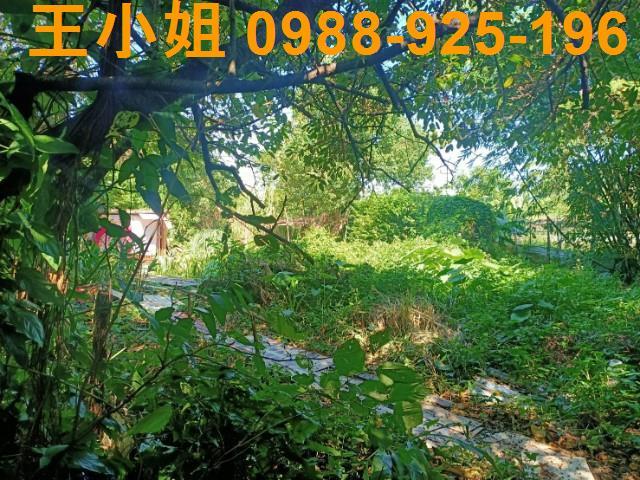 桃園區農地-10