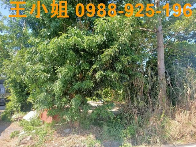 桃園區農地-12