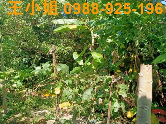 桃園區農地-14