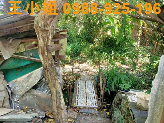 桃園區農地-15