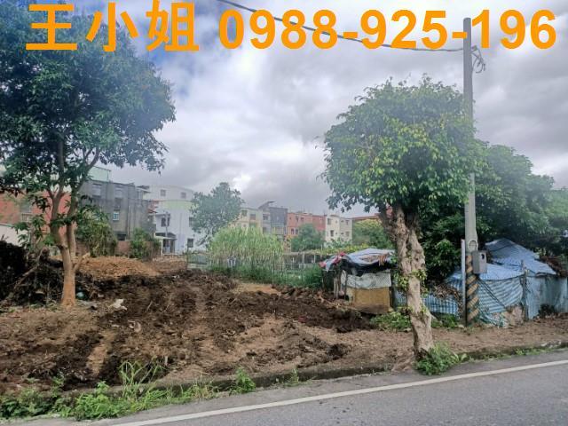 桃園區農地-5