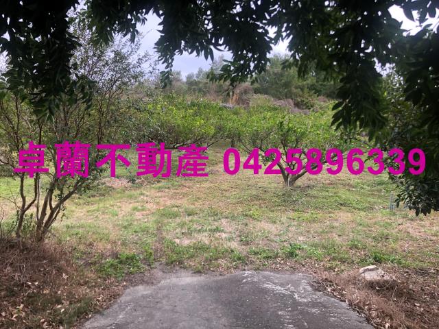 苗栗農地-2