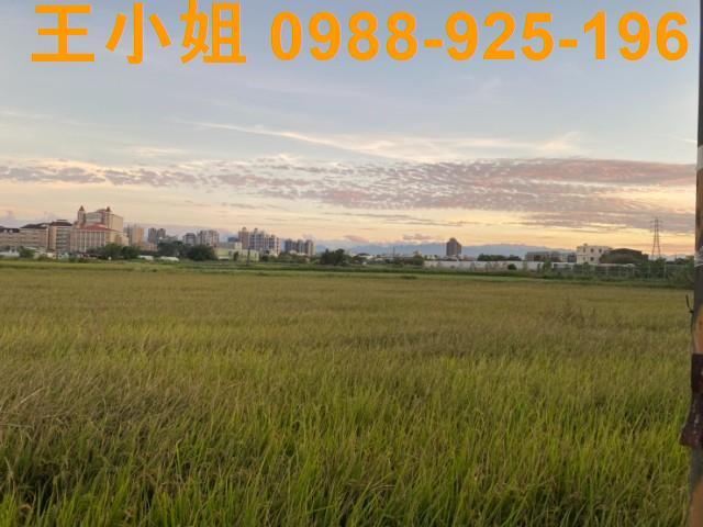 桃園區農地-2