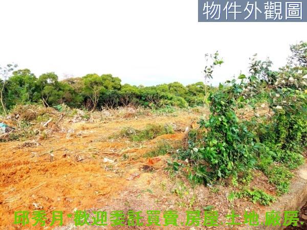 新北淡水農地-2