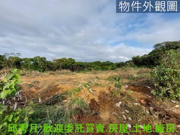 新北淡水農地-3